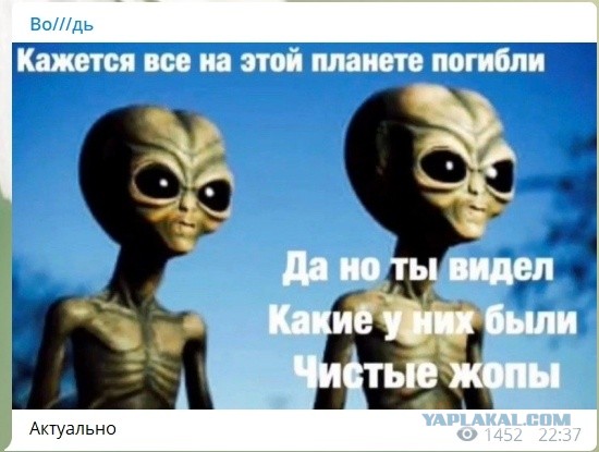Единая Россия помогает эвакуированным жителям Киржачкского района