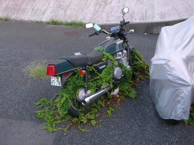 Начинайте свой день с чего-то положительного