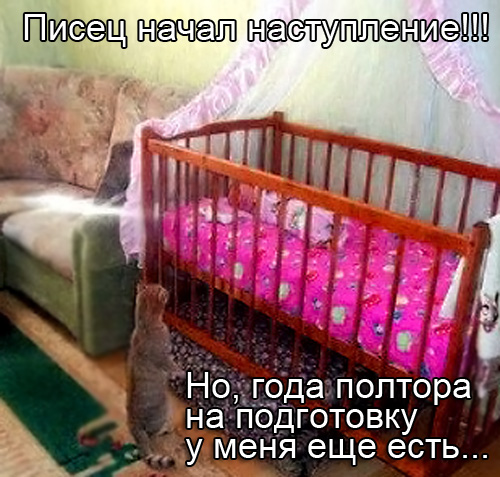 Котэ негодует