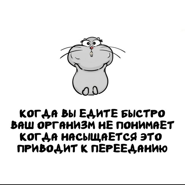 Интересные и короткие факты на все случаи жизни 05.01.26