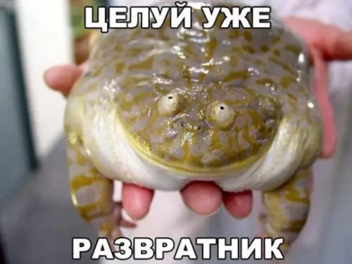 Картиночки, баянчики 13 марта