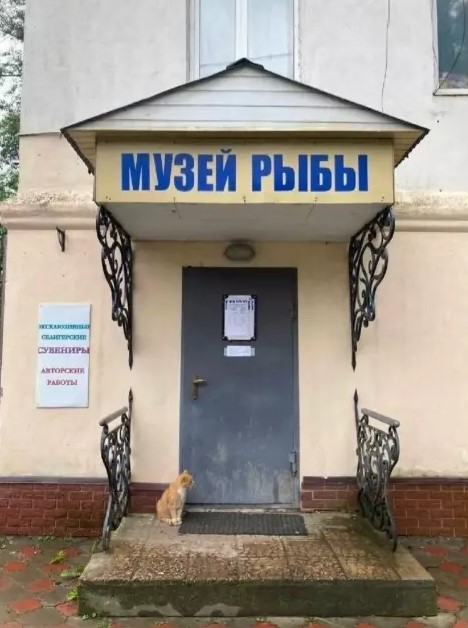 Картиночки, баянчики 18 марта