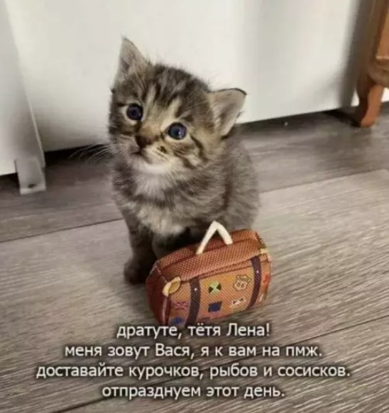Котямбосы