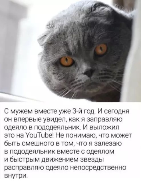 Картиночки, баянчики 01 апреля