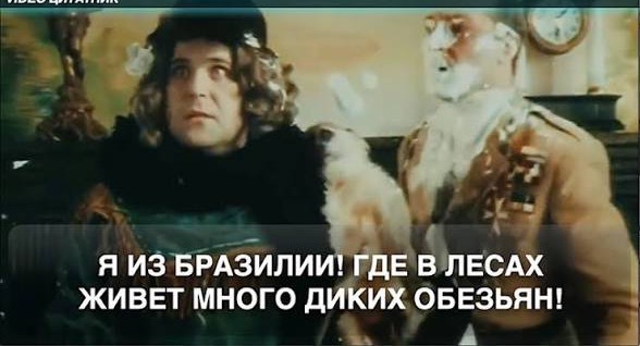 Дальнобойщик из Бразилии решил пранкануть спящего товарища, напугав его резким манёвром