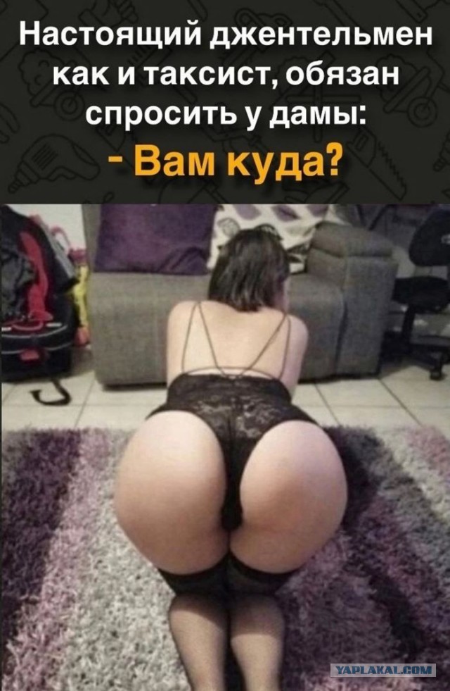 Картинки для деградации 184 (разной степени свежести)