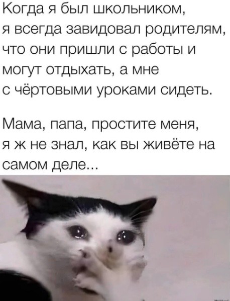 Картинки для деградации 202 (разной степени свежести)