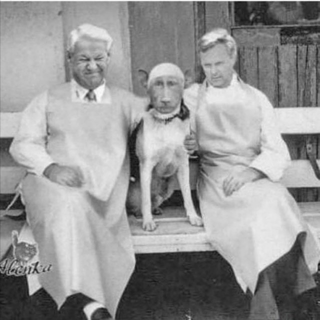 Картинки для деградации 234 (разной степени свежести)