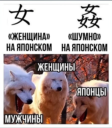 Картинки для деградации 246 (разной степени свежести)