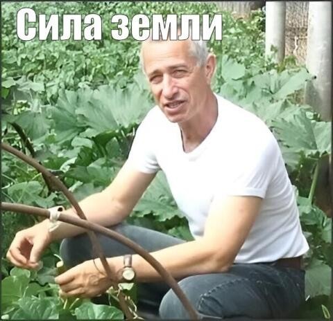 Житель Ногинска забыл русский язык после колоноскопии