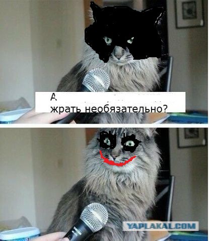 Как так?