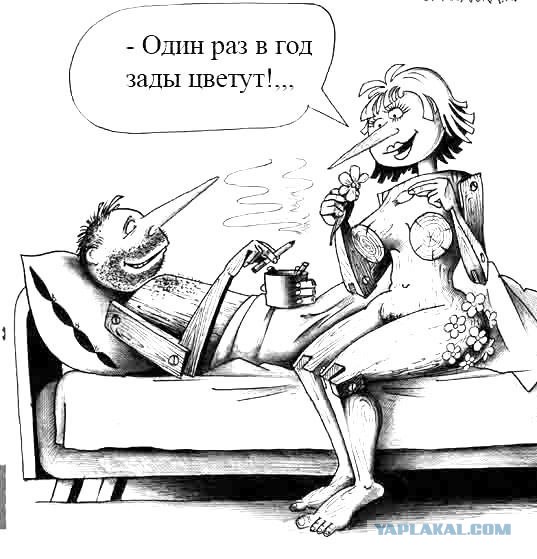 Карикатуры Сергея Корсуна