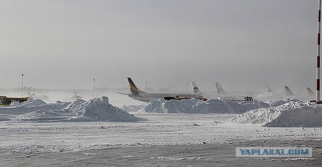 Вышел за хлебом