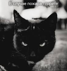 Не про олимпиаду