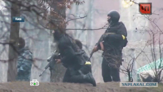 Бойцы украинского "Беркута" просят убежища