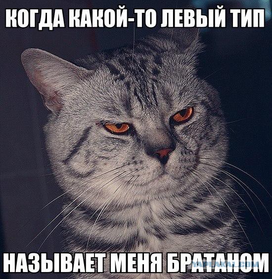 Россия