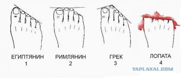 Какая стопа у Статуи Свободы?