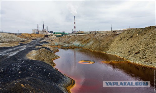 Shell и сланцевый газ!