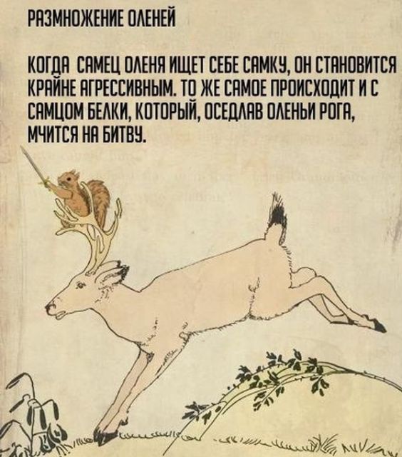Прикольные картинки на понедельник .
