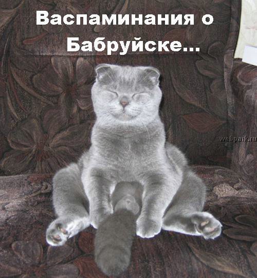 Картинки из интернетов