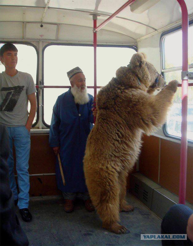 Удивительные мифы о России.