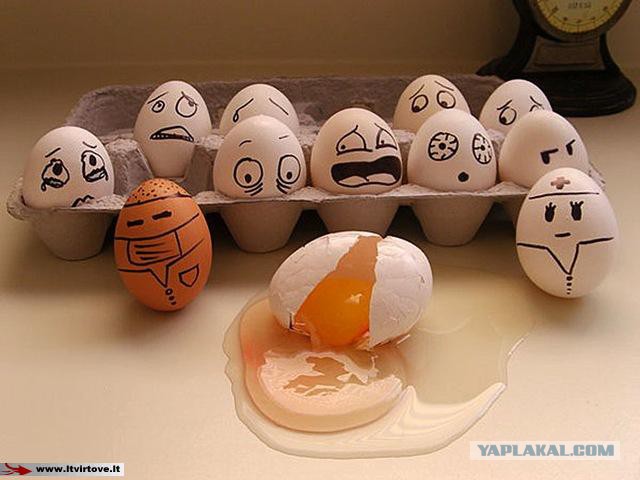 Из жизни яиц!