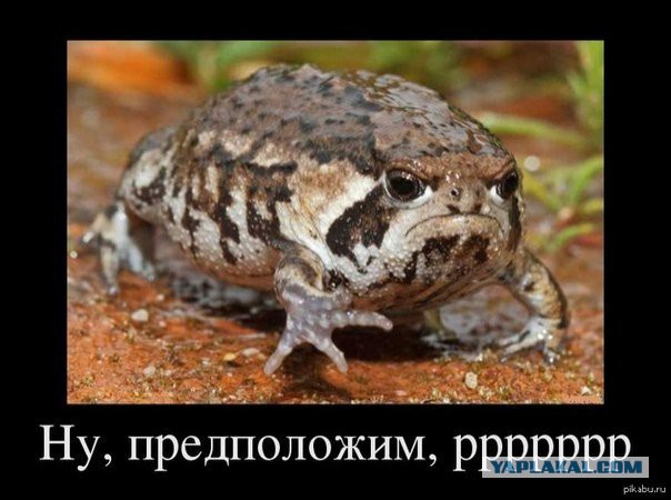Сборная солянка
