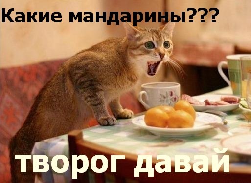 Немного картинок и демотиваторов