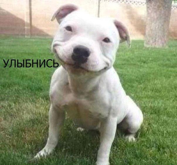 Картинки и демотиваторы