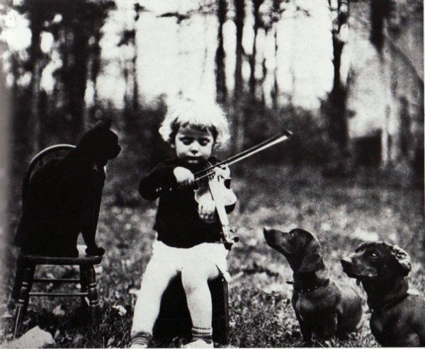 Картинки разные