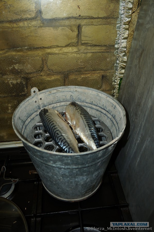 Коптим рыбу на кухне