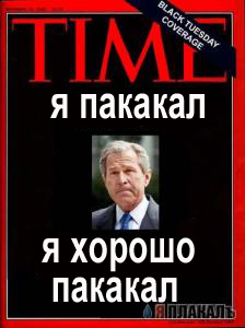 Все о БУШЕ
