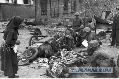Завалили трупами