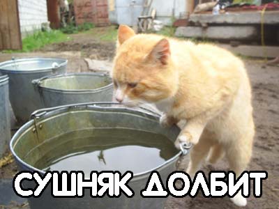 Уже да :) Ужо пятнецца...