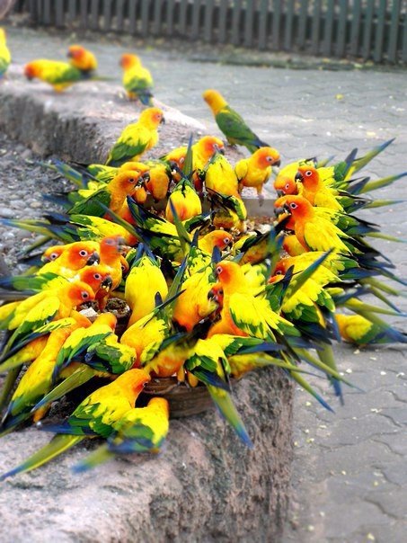 Подборка картинок