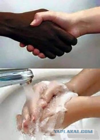 Зачем куча певиц, если можно взять только одну?