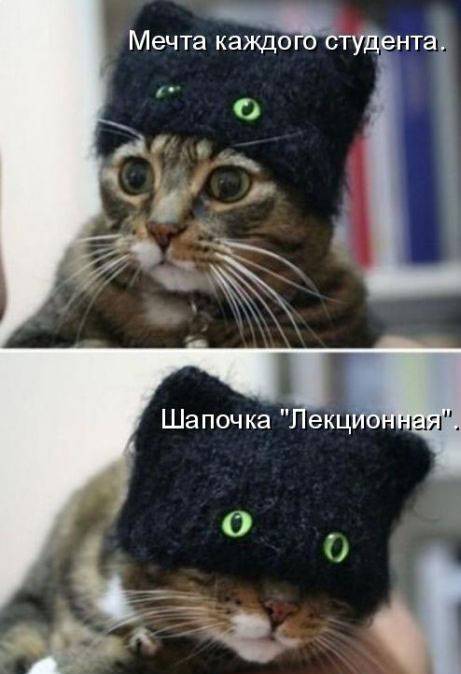 Забавные картинки из Сети