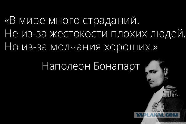 Подборка картинок