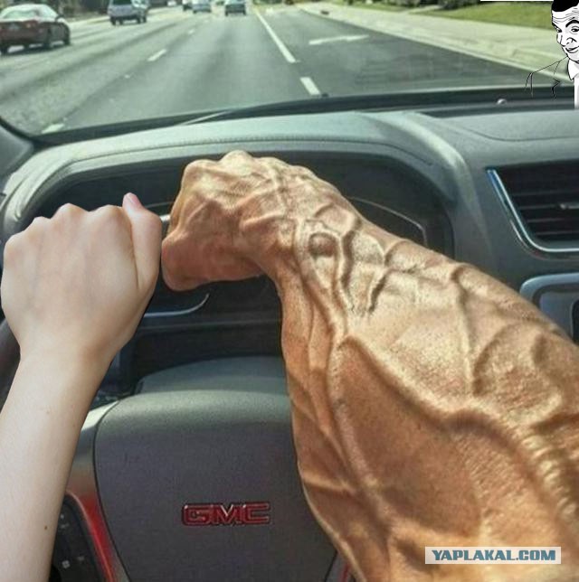 Подборка картинок