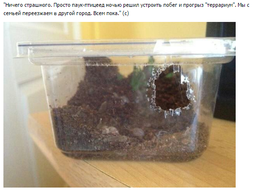 Майский черный юморок
