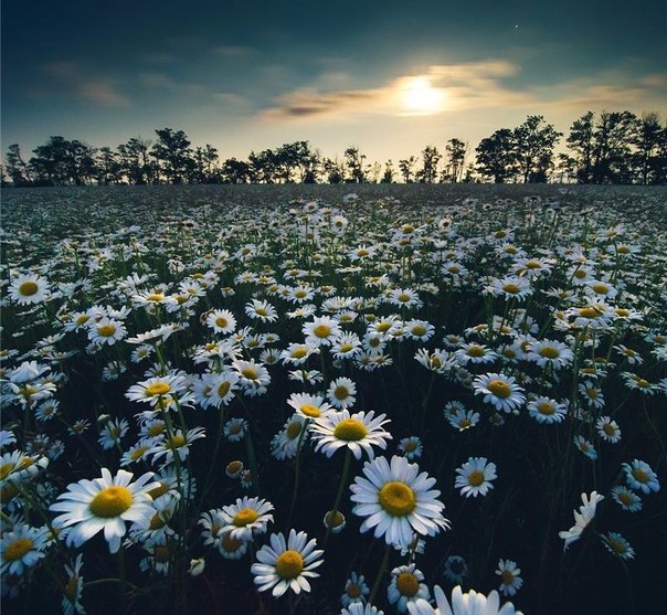 Интересные и веселые картинки