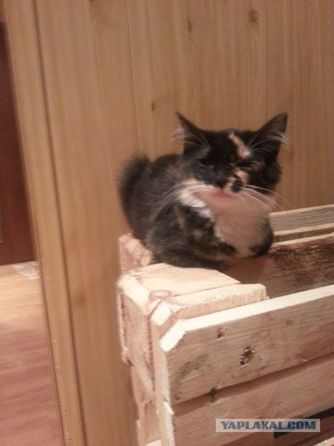 Моя гостиная. Заходите в гости