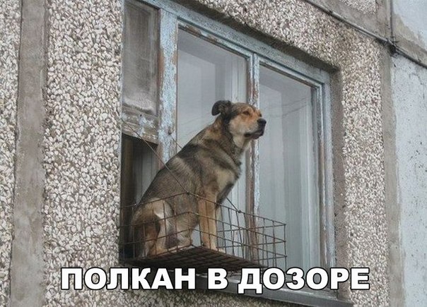 Ассорти картинок из сети
