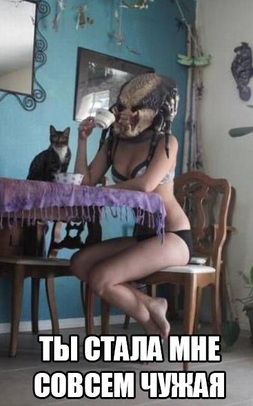 Картинки и приколы из сети