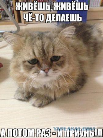 А у вас бывает непруха?