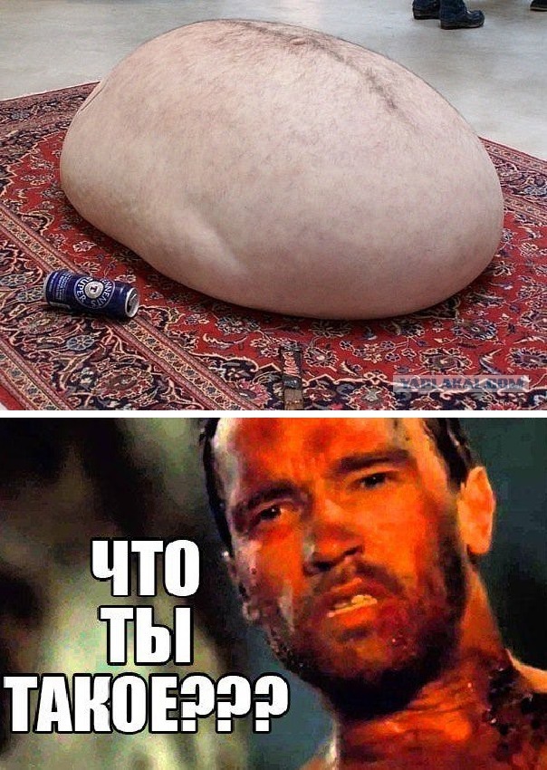 Ужасы и приколы из соцсетей 18+