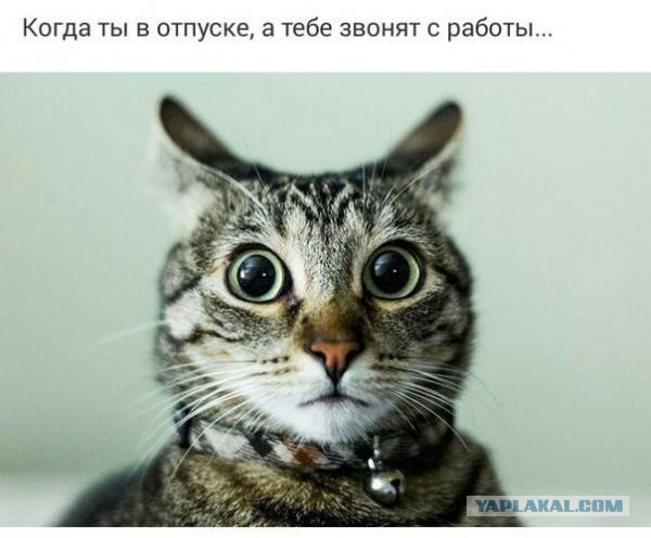 Юмор не для всех