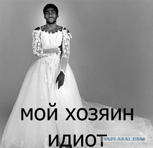 Картинки для тех, кому делать не фиг.