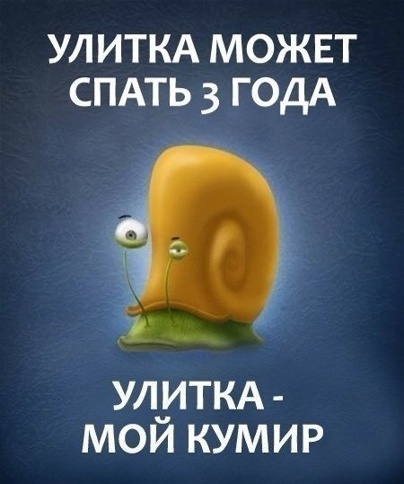 Картинки с букофками
