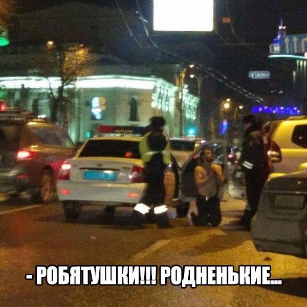 Подборка безудержного веселья